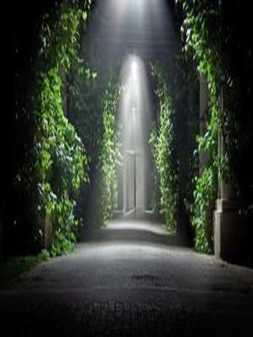 Title details for La Porte du Temps by Gérard Boudin de l'Arche - Wait list